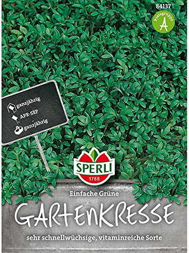 Gartenkresse Einfache Grüne