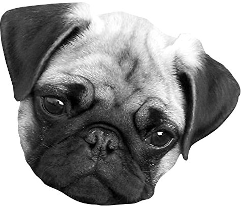 1art1 Hunde Süßer Mops-Kopf Wand-Tattoo | Deko Wandaufkleber für Wohnzimmer Kinderzimmer Küche Bad Flur | Wandsticker für Tür Wand Möbel/Schrank 35x30 cm