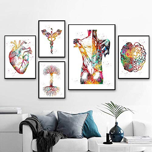 Herz Gehirn Menschliche Anatomie Poster Kunstdrucke Organ Anatomie Medizin Wand Bilder Aquarell GemäLde Leinwand Bild Klinik Medical Office Dekor Bilder Ungerahmt