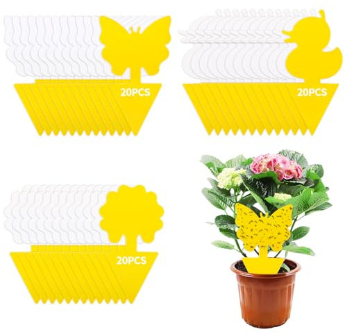 Cirulli 60 Hojas de Trampa Moscas Fruta- 3 Diseños Pegatinas Amarillas Efectivas para Combatir Plagas en Plantas de Interior y en la Cocina, Sin Pesticidas Trampa para Moscas