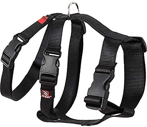Arppen 196222530009 Harness Nylon grundlegende dreifache Greyhounds und Punnuts, Schwarze Farbe