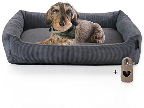 Rohrschneider Hundebett waschbar für kleine und mittelgroße Hunde mit Hundekissen Cord anthrazit (ca. 70x50 cm) inkl. Gassibeutel