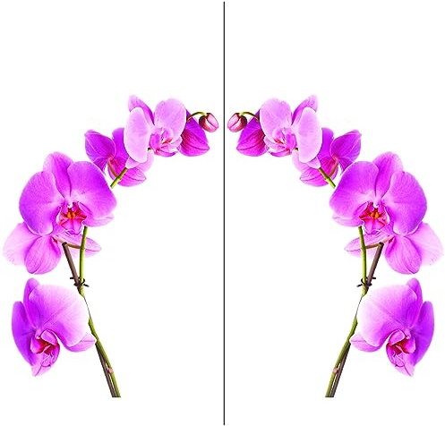 Stickers muraux fleurs Orchidée Kit x2 - Autocollants muraux, adhésif floral - stickers décoration - Décoration Murale Chambre Enfants Salon Bureau (50x35 cm)