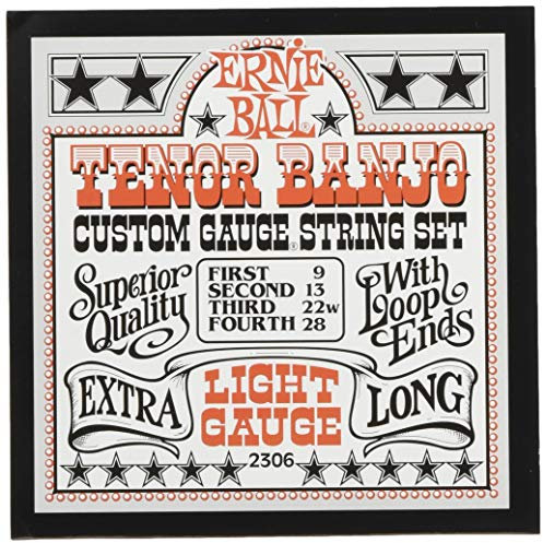 Ernie Ball P02306 Tenor Banjo Cordes légères en acier inoxydable avec extrémité à boucle, pour guitare, calibre 9-28