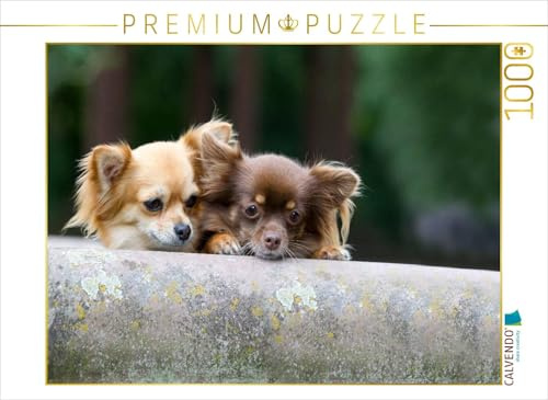 CALVENDO Puzzle EIN Motiv aus dem Kalender Chihuahuas - kleine Herzensbrecher | 1000 Teile Lege-Größe 64 x 48 cm Foto-Puzzle für glückliche Stunden