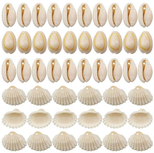 80 Stück Muschel Perlen Natürlichen Muschel Perlen Mit Loch Kleine Jakobsmuschel Muscheln Natürlichen Muscheln Perlen Natürliche Muschelperlen Für Diy Armband Schmuck Machen Deco Handwerk