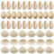 80 Stück Muschel Perlen Natürlichen Muschel Perlen Mit Loch Kleine Jakobsmuschel Muscheln Natürlichen Muscheln Perlen Natürliche Muschelperlen Für Diy Armband Schmuck Machen Deco Handwerk