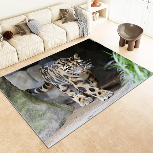 Srigzcaly Kurzflor Rechteck Teppich Wohnzimmer 60x90cm Tier Nebelparder Waschbarer Teppich für Mädchen Junge Schlafzimmer, Grau Kinderzimmer Flauschig rutschfest Teppiche