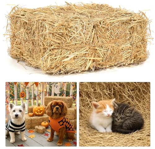 BobbleT Natural Wheat Straw – 3 LB Clean Dry Straw Bale for Stray Cats & Dogs, Soft Straw Bedding for Cat Shelter, Hay Bales for Decoration, Yard or Farm Use
