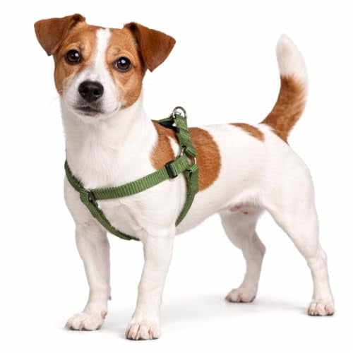 hundegeschirr - ziggi kaki Step&go - größe S - 25-45 cm / 25-45 cm - 15 mm - Nylon hundegeschirr verstellbar mit klickverschluss