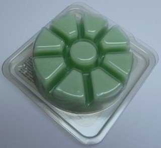 PartyLite Scent Plus Melts Honigmelone