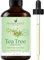 Handcraft Blends Tea Tree Essential Oil - Huge 118 ml - 100% Pure and Natural - Premium Grade with Glass Dropper