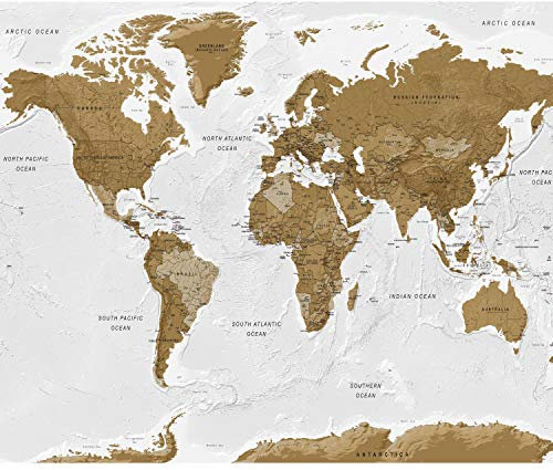 decomonkey Fototapete Weltkarte 250x175 cm XL Tapete Fototapeten Vlies Tapeten Vliestapete Wandtapete moderne Wandbild Wand Schlafzimmer Wohnzimmer Landkarte Kontinent Holz braun