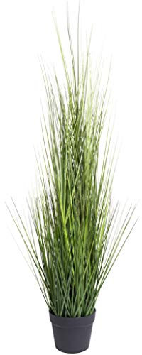 Nova-Nature künstliches Grasarrangement King Festuca im schwarzen Kunststofftopf (ca. 115 cm)