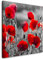 EAUZONE GmbH Rote Mohnblumen im Feld 60x60cm Wandbild auf Leinwand, Kunstdruck Moderne Bilder
