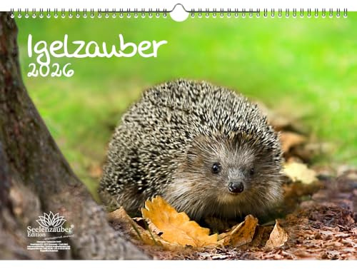 Igelzauber DIN A3 Kalender für 2026 Igel - Seelenzauber