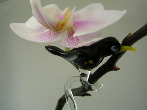 basticks Orchideenstab Amsel Schwarz - Blumenstab mit Vogel Figur aus Glas - Rankhilfe Deko Orchideen Blumen Garten