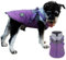 Norbi Winterjacke für kleine Hunde mit Geschirr, 2-in-1-Welpenmantel