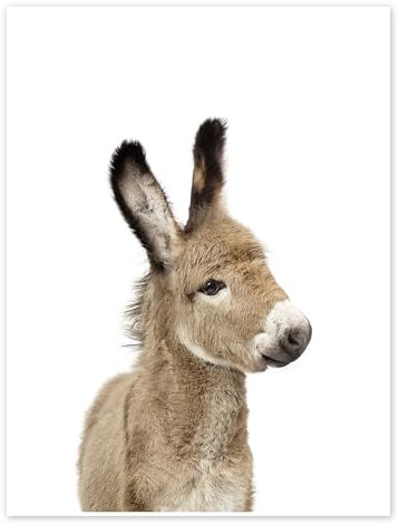 Babyesel Poster von Sisi And Seb 60 x 80 cm Wandbilder Wanddeko