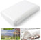 2M X 3M Heavy Duty Polythene Plastic Sheeting, Thick Clear Plastic Sheeting Strong Garden Grow Polythene Cover Sheets for Garden,Farms, Agriculture and Building Rubble Protection