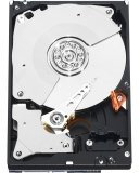 Western Digital RE4 500GB 20PK 500GB Serial ATA II internal hard drive - Internal Hard Drives (3.5, 500 GB, 7200 RPM, Serial ATA II, 64 MB)