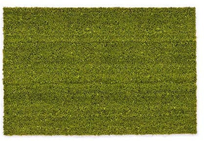 Carpido rutschfeste Kokosmatte - 65 x 97 cm Grün - Nachhaltige Naturfaser für den überdachten Außenbereich - 100% Kokos Fußmatte - Türmatte Eingang