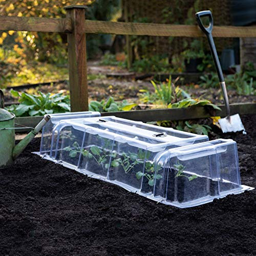 Thompson & Morgan Outdoor Garden Cloche Mini Greenhouse Growing Tunnel Plant Cloches for Vegetables, Protects Young Plants & Crops from Bad Weather & Reduces Pest Damage (2 x Mini Greenhouse Cloche)