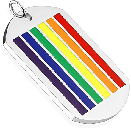 BlackAmazement 316L Edelstahl Dog Tag Anhänger Halskette Regenbogen Streifen Pride Rainbow Stripes Silber Mehrfarbig Herren Damen (Anhänger ohne Kette)