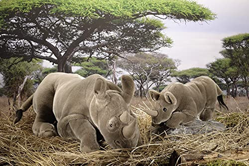 Kösener Nashorn, klein, liegend