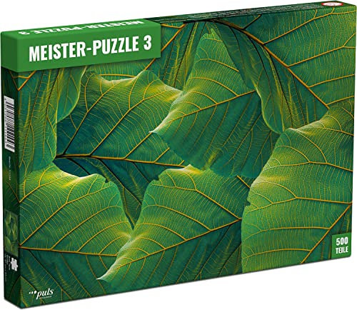 puls entertainment 11144 Meister-Puzzle 3: Blätter