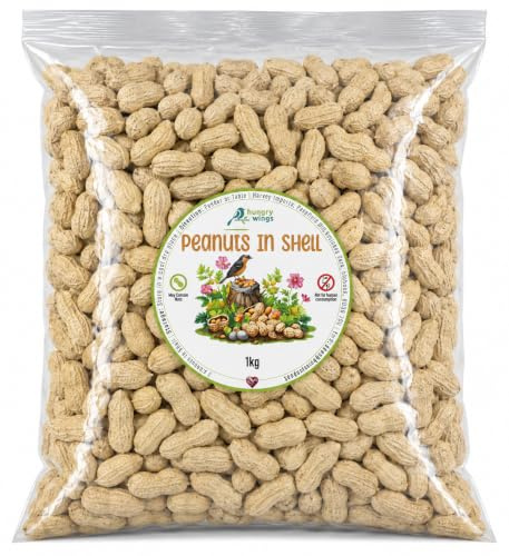 Wild Bird Food (1kg, Peanuts In Shell)