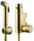 Home Range Brushed Gold Thermostatic Bidet Shower Douche Set | Brass Muslim Shattaf Toilet Sprayer for Bathroom Hygiene | Includes Shower Hose & Wall Bracket Holder (1 Douche Kit)