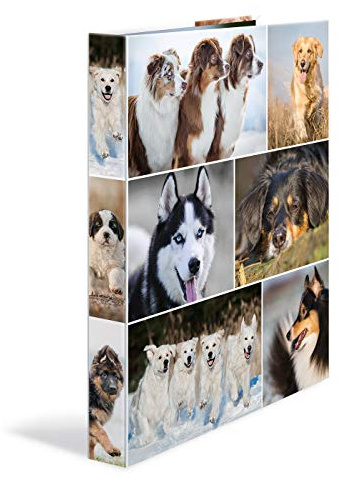 HERMA Ring Binder Animals with Dogs Motif, A4, 35 mm Spine, Slim 4-Ring Binder Made of Cardboard