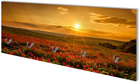 Wallario Wandgarderobe aus Glas in Größe 80 x 30 cm mit Memoboard-Funktion, Motiv: Mohnblumenwiese bei Sonnenuntergang am Abend | 5 Kleiderhaken zum Aufhängen von Jacken