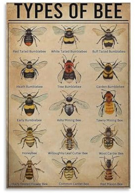 Retro-Kunstdruck, Motiv: Biene, nostalgischer Retro-Kunstdruck, Poster, Wandkunst, Gemälde, Leinwanddekoration, Heimposter, 30 x 45 cm