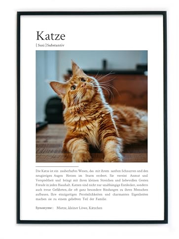 4one Pictures Katze Definition Poster mit Foto – Personalisiertes Geschenk zum Geburtstag, Weihnachten. Geschenkidee für eine Katzenmama, Katzenpapa, Katzenhalter - Andenken (Katze)