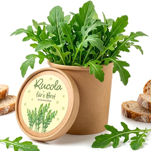 Rucola Anzuchtset mit Topf Pflanzset für frischen Rucola selbst anbauen | Komplettes Pflanzset mit Samen und Erde für Fensterbank, Balkon oder Indoor-Garten - Ideal für Küche und Kräuteranbau