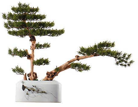 künstliche Pflanzen Chinesische Künstliche Baum Künstliche Zeder, Villa Hotel Porch Korridor Zen Künstliche Bonsai, künstliche Topfpflanzen Simulation Simulierte Kiefer