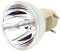 Muuoeou Compatible avec W1070 W1070 + W1080 W1080ST HT1085ST HT1075 W1300 Projecteur Lampe 240/0.8 E20.9N pour