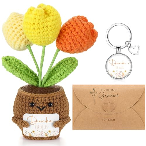 Otuuz Dankeschön Geschenk für Freund Kollegen Weihnachten Danke für Alles Schlüsselanhänger Pocket Hug Glücksbringer Handgefertigte Gestrickte Blumentopfpflanzen Puppen Ruhestand Abschied