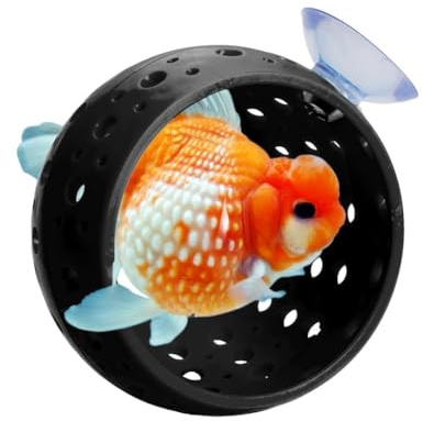 Osmond Aquarium BettaFish Hideout - Fish Tank Tunnel with Suction Cup Shrimp Cave Aquarium Decor Fish Tank Accessories