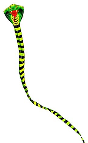 Perfeclan 3D-Drachen für Kinder und Erwachsene, riesiger Tierdrachen mit für Spiele und Aktivitäten der Familie im Strandpark, Schlange