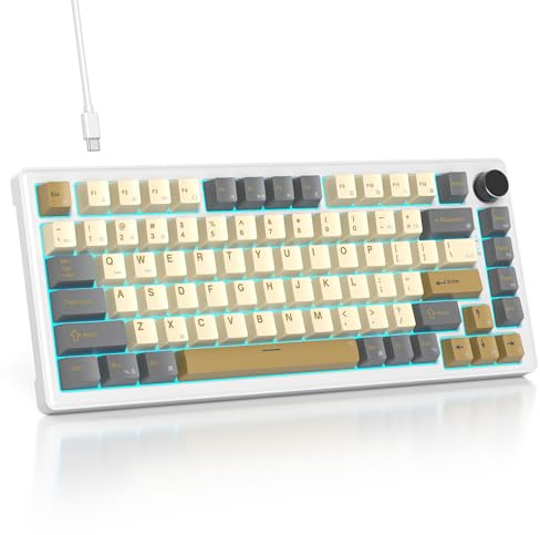 SOLIDEE Verkabelte Mechanische Gaming Tastatur 75 Prozent, Hot-Swap-Fähig Mit Gasket Struktur, RGB Hintergrundbeleuchtung, 82 Tasten TKL Mit Drehknopf (82 Glimmer)