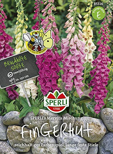 Sperli-Samen Fingerhut SPERLI's Mervita, Mischung