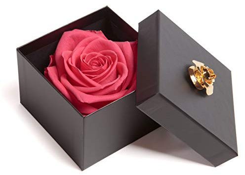ROSEMARIE SCHULZ Heidelberg Infinity Rose haltbar 3 Jahre in Box (Pink, 1 Rose)