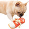 iNszkoos Welpenspielzeug, Hundespielzeug, Kauspielzeug Hund Schuhe, Lustig & Langlebig Mini-Quietschend kleine Schuhe für Welpe, Kleine Mittelgroße Hunde, Pädagogisches Spielzeug, Waschbar (Orange)