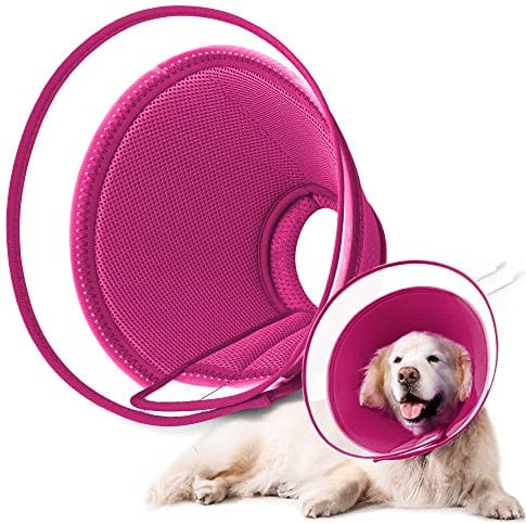 Halskrause Hund Leckschutz, Weich Schutzhalsband Kegelhalsbänder Verstellbar Genesungshalsband, Atmungsaktive Haustier Elisabethanischer, Hundehalskrause, Leckschutz Hund (M, RED)