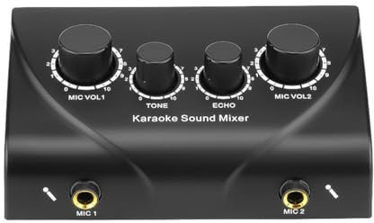 Tragbarer Karaoke-Mixer, 2 Mikrofon-Eingänge, digitaler Audio-Sound, Karaoke-Maschine, Echo-Mixer für Familien-Party-Unterhaltung