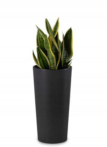 HowHomely Blumentopf Gross Hoch 47 cm mit Pflanzkübel Einsatz 26 cm Durchmesser - Schwarz Pflanzkübel Groß aus Kunststoff für Deko Wohnzimmer Garten oder Terrasse