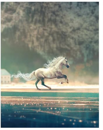 DCIDBEI 30 x 40 CM 5D Diamant-Malerei Pferd auf dem Meer, Runde Diamond Painting Fantasy-Tiere für Erwachsene, Schlafzimmer-Büro-Dekoration/Geburtstag Party Geschenk Mädchen Schwester